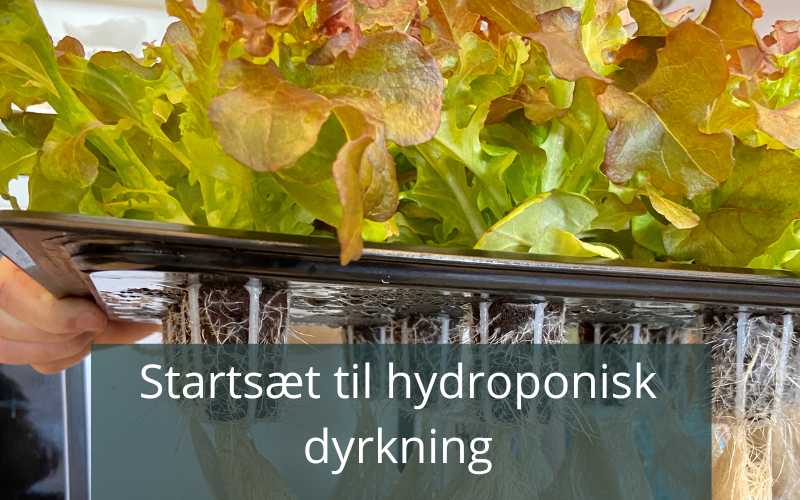 Tips til hydroponisk dyrkning startsæt